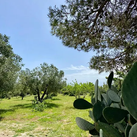 Vanangi Ceglie Messapica